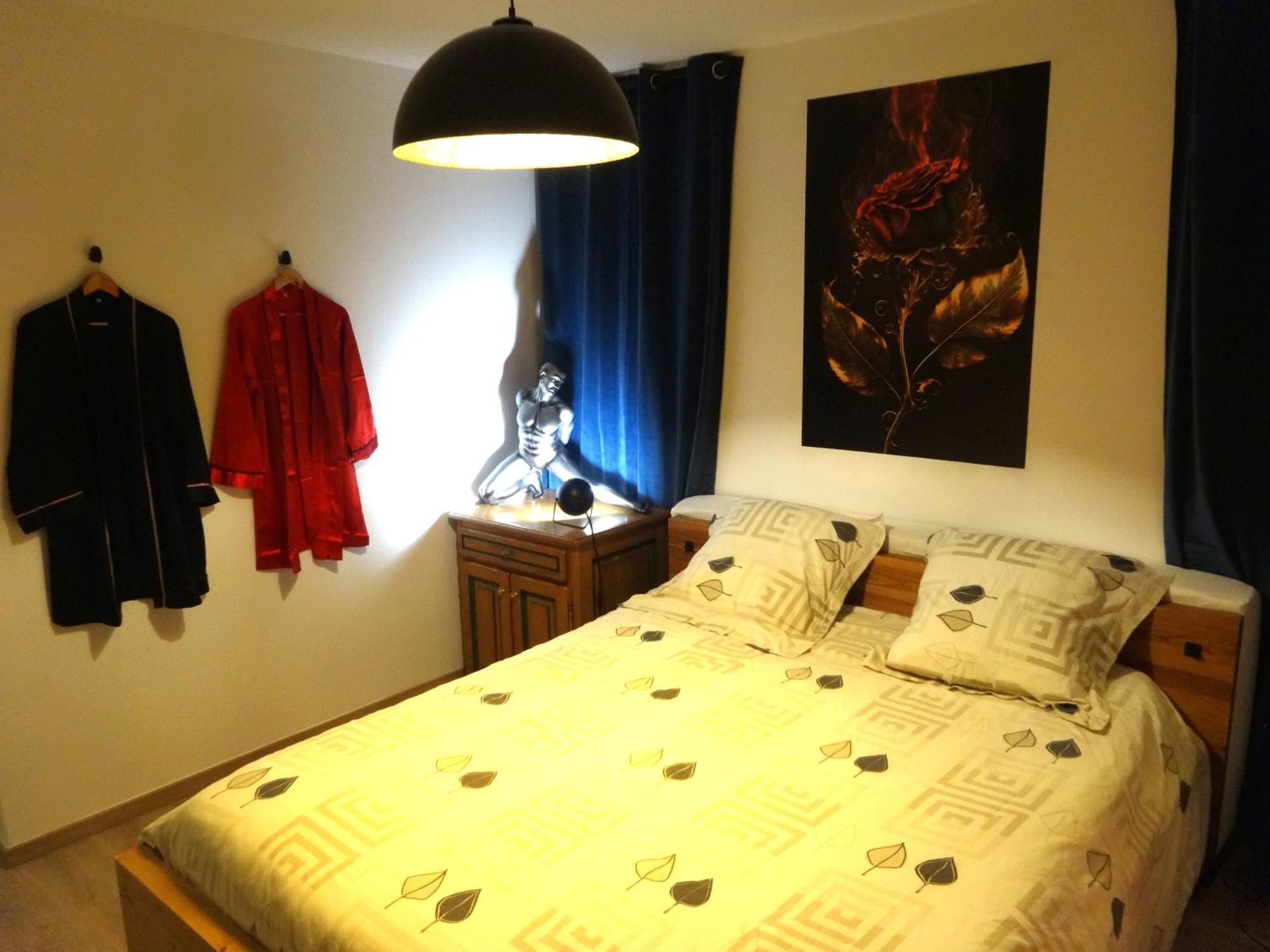 Ambiance Zen-Coliving-Teletravail Apartment Cesson-Sevigne Ngoại thất bức ảnh